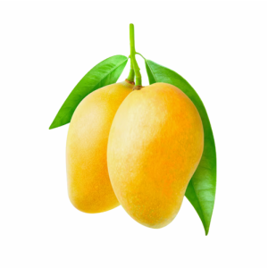Cat Chu Mango