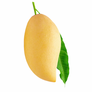 Hòa Lộc Mango
